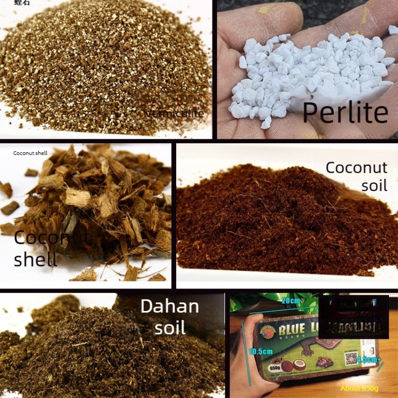 Sphagnum Moss Dry - อิฐดินมะพร้าวสำหรับสัตว์เลื้อยคลาน วัสดุรองพื้นสำหรับเต่า ตุ๊กแก งู วัสดุรองพื้นสำหรับตู้เลี้ยงสัตว์ ใยมะพร้าวเพิ่มความชื้น