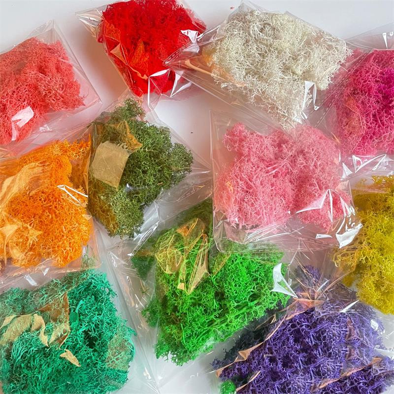 Sphagnum Moss Dry - 20-200g พืชสีเขียวประดิษฐ์โพลีเอสเตอร์ MOSS Grass MINI ภูมิทัศน์ดอกไม้ปลอม