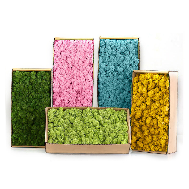 Sphagnum Moss Dry - พืชสีเขียวประดิษฐ์ MINI ภูมิทัศน์ชีวิตนิรันดร์ MOSS หญ้าปลอมหญ้า DIY