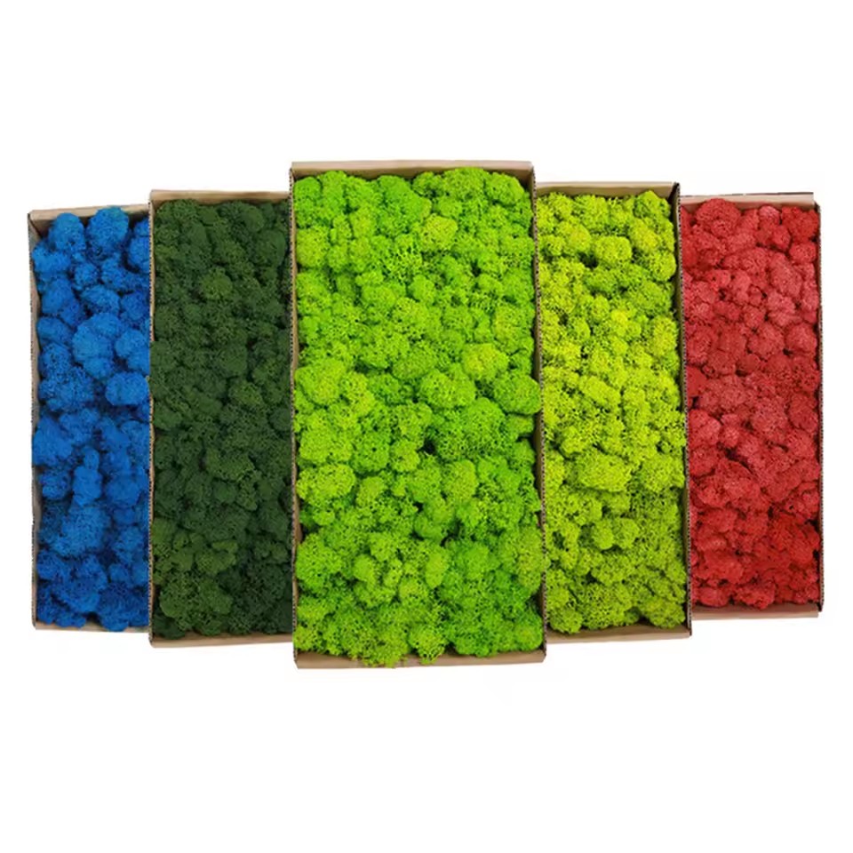 20-200g พืชสีเขียวประดิษฐ์โพลี - Sphagnum Moss Dry บทวิจารณ์และราคา