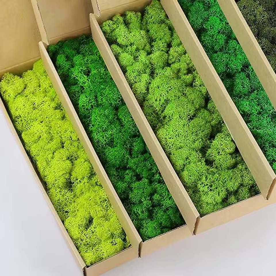 20-200g พืชสีเขียวประดิษฐ์โพลี - Sphagnum Moss Dry บทวิจารณ์และราคา